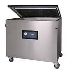 Вакуум-упаковочная машина DZ-800/2L
