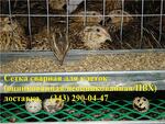 Сетка сварная оцинкованная