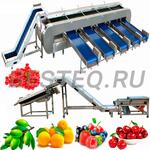 Линия переработки ягод