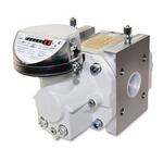 Счетчик газа ЭЛЬСТЕР RVG G250