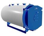 Двухходовый котел ТЕРМОТЕХНИК TT50