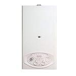 Традиционный котел ARISTON BS II 24 FF