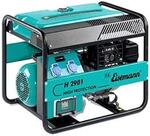 Бензиновый генератор Eisemann H 2901 Бензиновый генератор Eisemann H 2901