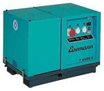 Бензиновый генератор Eisemann T 6600 E Бензиновый генератор Eisemann T 6600 E