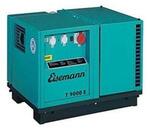 Бензиновый генератор Eisemann T 9000 E BLC
