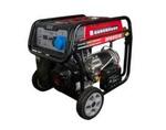 Генератор бензиновый DDE DPG9551E