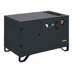 Газовый генератор GAZVOLT Standard 6250 Neva