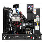Газовый генератор PRAMAC GGW100G | открытое