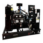 Газовый генератор PRAMAC GGW70G | открытое