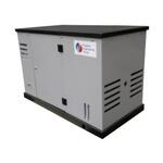 Газовый генератор REG HG10-230S Газовый генератор REG HG10-230S