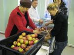 Готовое производство по переработки ягоды (джем)