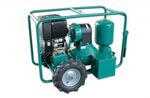 Мотопомпа для вязких жидкостей Caffini Libellula LIB/1-4 P55/AL-NBR/Hatz1B30+T