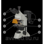 Микроскоп Биомед-5ПР ЛЮМ
