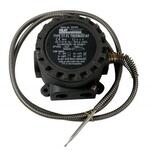 Сдвоенный капиллярный термостат Capstat CT-FL/2C/C/Dual