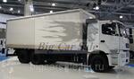 КАМАЗ 65207-001-87(S5)