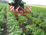 ОКУЧИВАЮЩИЙ ГРЕБНЕОБРАЗОВАТЕЛЬ GH 2 GRIMME