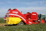 КАРТОФЕЛЕУБОРОЧНЫЙ КОМБАЙН GRIMME SE 140 (с боковым подкопом, 1-рядный, с бункером объемом 4 т.)