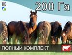 Электропастух для лошадей на 200 га / 5,7 километра в 2 ряда