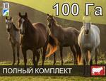 Электропастух для лошадей на 100 га / 4 километра в 2 ряда