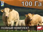 Электропастух для крс на 100 га / 4 километра в 2 ряда