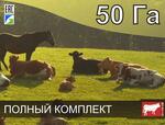 Электропастух универсальный на 50 га / 2,8 километра в 3 ряда