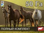 Электропастух для лошадей на 50 га / 2,8 километра в 2 ряда