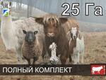 Электропастух универсальный на 25 га / 2 километра в 3 ряда
