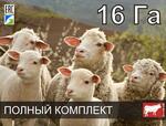 Электропастух для овец и ягнят на 16 га / 1,6 километра в 3 ряда