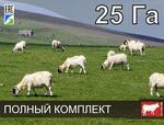Электропастух для коз на 25 га / 2 километра в 2 ряда