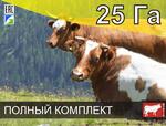 Электропастух для крс на 25 га / 2 километра в 2 ряда