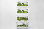 Гидропонная установка для дома и офиса VegeBox VegeBox H-BOX-L4