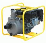 Мотопомпа для чистой воды Champion GP50