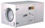 Dantherm CDP 125 (220В)