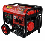 Бензиновый генератор DDE DPPG2801E