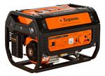 Бензиновый генератор Ergomax GA3000