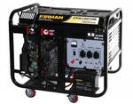 Бензиновый генератор Firman FPG 12010E
