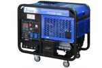 Сварочный генератор ТСС DGW-300E