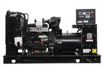 Газовый генератор Generac SG300(240)