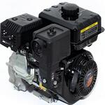 Двигатель для мототехники Lifan 170F-T-R D20 Двигатель для мототехники Lifan 170F-T-R D20