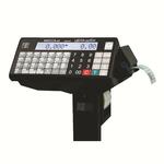 Терминал весовой P/ТВ (МК20213) МАССА-К P/ТВ