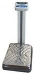 Складские весы CAS DL-200