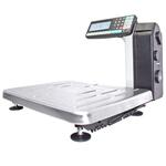 Весы напольные с печатью этикеток МАССА-К TB-S-RL TB-S-200.2-RL1 (МК10094) МАССА-К TB-S-RL Весы напольные с печатью этикеток МАССА-К TB-S-RL TB-S-200.2-RL1 (МК10094) МАССА-К TB-S-RL