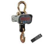 Крановые весы CAS 5 THA Caston 1