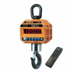 Весы крановые CASTON-3 (20THD)