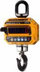 Крановые весы CAS 30 THD