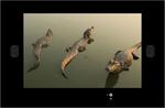 AquaView Smart TV 19quot;