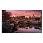 LCD панель Samsung LH65QBREBGCXCI (LH65QBREBGCXCI)