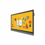 ЖК панель BenQ RP6501K