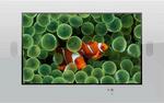 AquaView Smart TV 42quot;