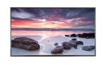 Интерактивная панель Samsung PM55F-BC
